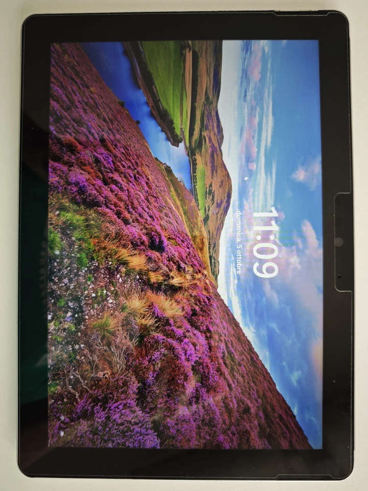 Microsoft Surface Go  1a Generazione - Immagine 2 di 4