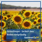 Bild 3 von 5