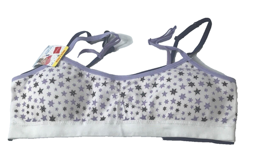 Hanes Girl's Everyday Comfort  2 Pack Bra Bralette XLarge White/Purple
