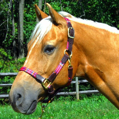 Halter - Highland Plaid Halter with Leather (Horse Size) - Red Plaid - Picture 1 of 1