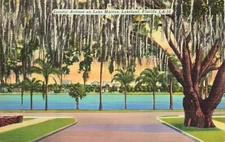 Postcard Success Avenue on Lake Morton Lakeland Florida