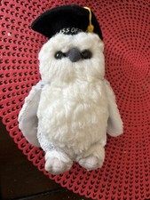 Ty Beanie Babies Class of 2004 (Owl) Mint w/12th Gen Tags