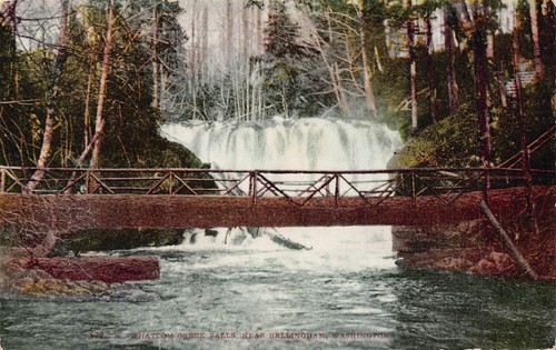 BELLINGHAM WASHINGTON~LOG BRIDGE OVER WHATCOM CREEK FALLS~1908 POSTCARD