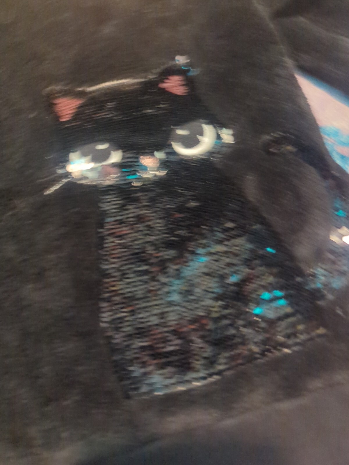 Picture 2 of 4