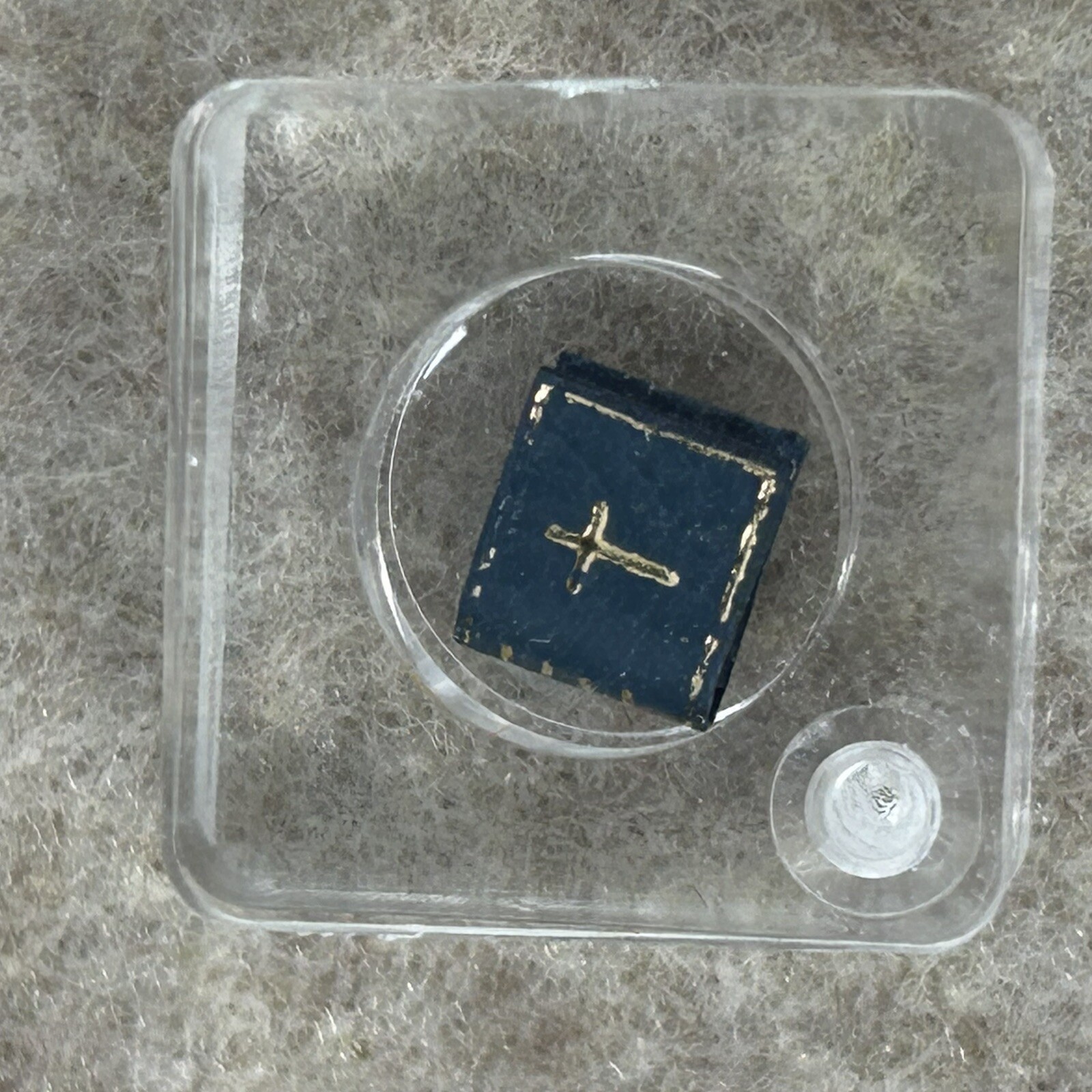 Picture 5 of 10