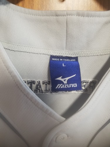 Camiseta deportiva de béisbol usada de los Penn State Behrend Lions serie PA grande #19 - Imagen 5 de 5