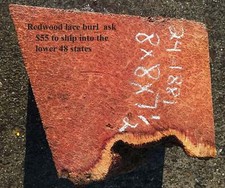 Redwood Lace Burl  Craft Wood  DIY Crafts  R24-1881