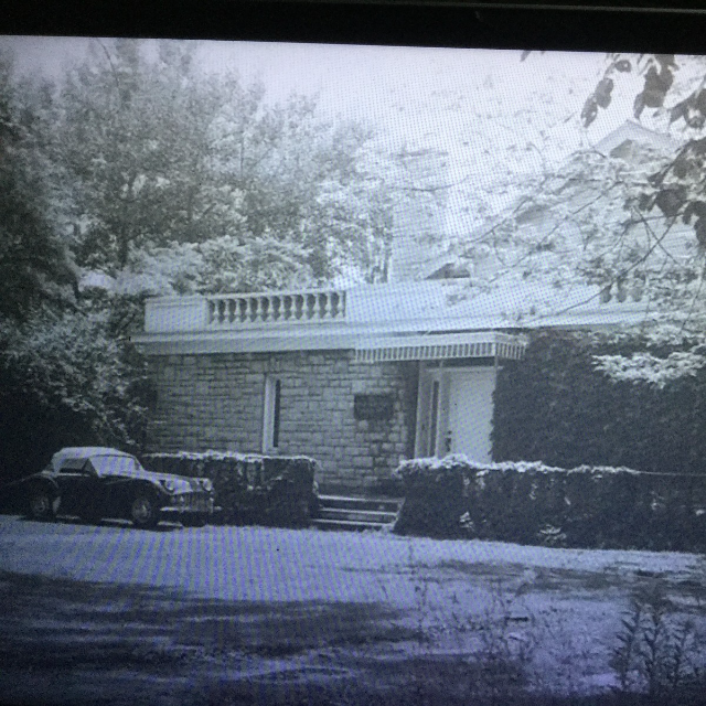 Elmwood Old