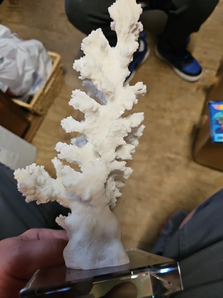 White Coral Sculpture With Crystal Base From Apropos Very Detailed And Heavy - Image 3 of 4