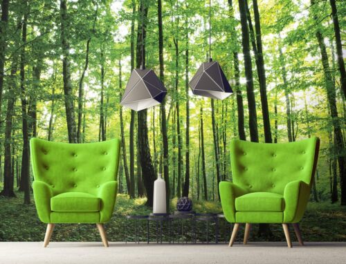 Wall Mural photo wallpaper Sunny Green Forest Scene approx. 366 x 254 cm Trees - Picture 2 of 9
