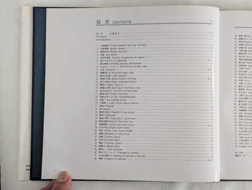 Masahiro Wada Japanese Cranes Seasonal Colors in Kushiro Marshland Hardcover - Picture 14 of 24