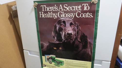 VINTAGE Veterinarian's Veterinary Poster THERE'S A SECRET TO HEALTH BEECHAM LAB