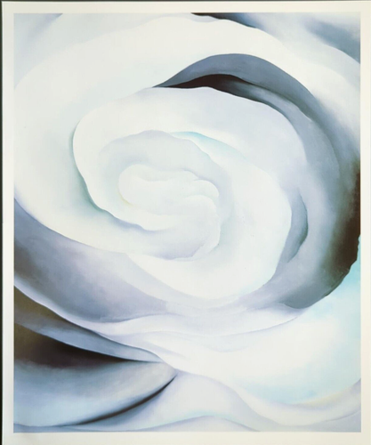 Georgia O' Keeffe Abstraktion weiße Rose botanische Blumen Kunstdruck Buchteller 40 - Bild 2 von 5