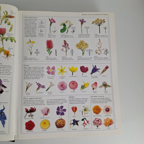 The Royal Agricultural Society A-Z Encyclopedia Of Garden Plants Flowers Book HC - Picture 18 of 20
