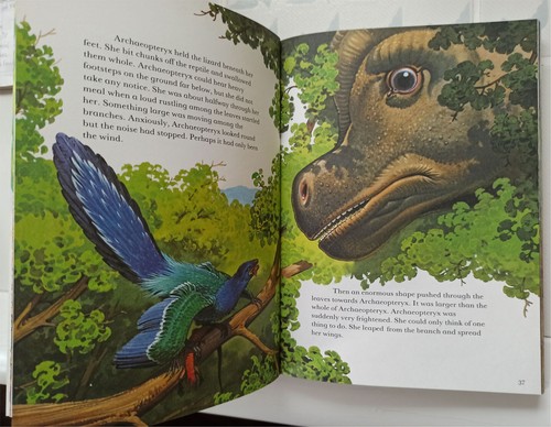 Dinosaurs of the land, sea and air Bilderbuch englische Sprache Top - Bild 4 von 14