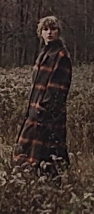 Picture 4 of 4
