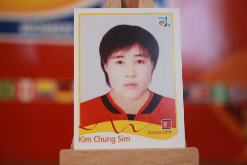 Pegatinas de álbum Panini de la Copa Mundial Femenina de la FIFA 2011 Alemania (números 1 - 250) - Imagen 185 de 217