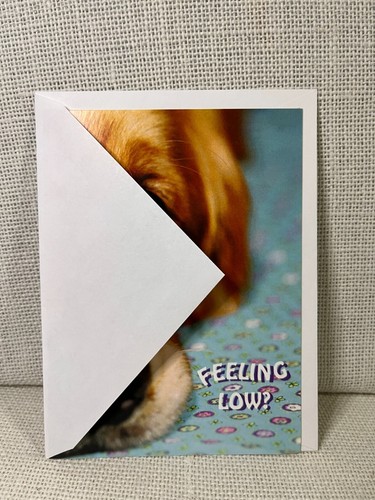 Tarjeta de felicitación Guiding Eyes for the Blind Dog Face, Feeling Low Get Well Soon - Imagen 2 de 6