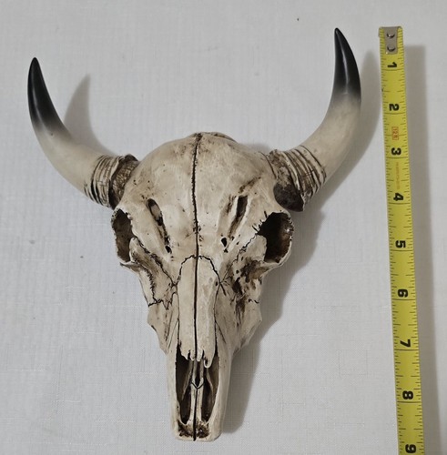 Western Cow skull resin wall mount 9" Home Decor item - Picture 9 of 11