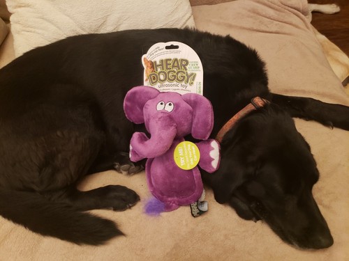 goDog Plush Dog Toys -37 Choices - Dragons-Gators-Checkers-Furballz-Dinos-Silent - Picture 26 of 40