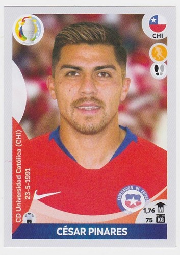 PANINI COPA AMÉRICA 2021 VISTA PREVIA - PEGATINAS #1 - #198 - JUGADORES Y LÁMINAS DE HALO - Imagen 166 de 200