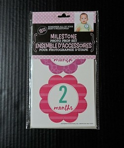 Photo-Prop-Stickers-Baby-Girl-Milestone-Photography-Set-Keepsake-Scrapbook-18-Ct