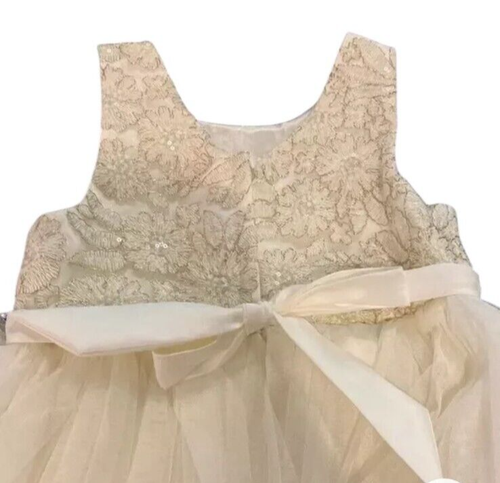 American Princess Full Formal Dress  Girls 7  Ivory  Gold Tulle Special Occasion - Picture 7 of 12