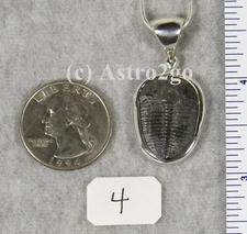 Elrathia Kingii TRILOBITE PENDANT $59 Sterling Silver Jewelry STARBORN CREATIONS