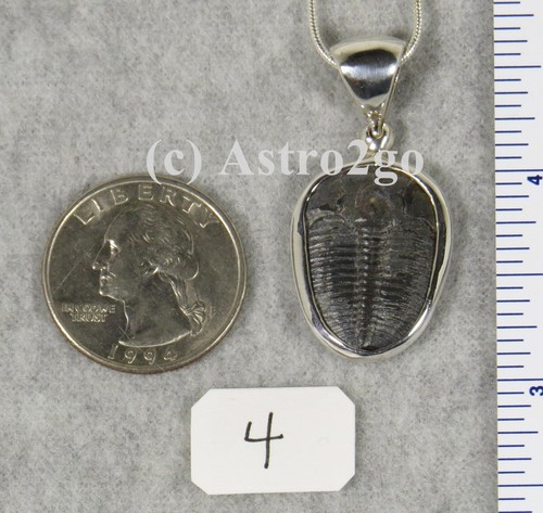 Elrathia Kingii TRILOBITE PENDANT $59 Sterling Silver Jewelry STARBORN CREATIONS - Picture 2 of 12