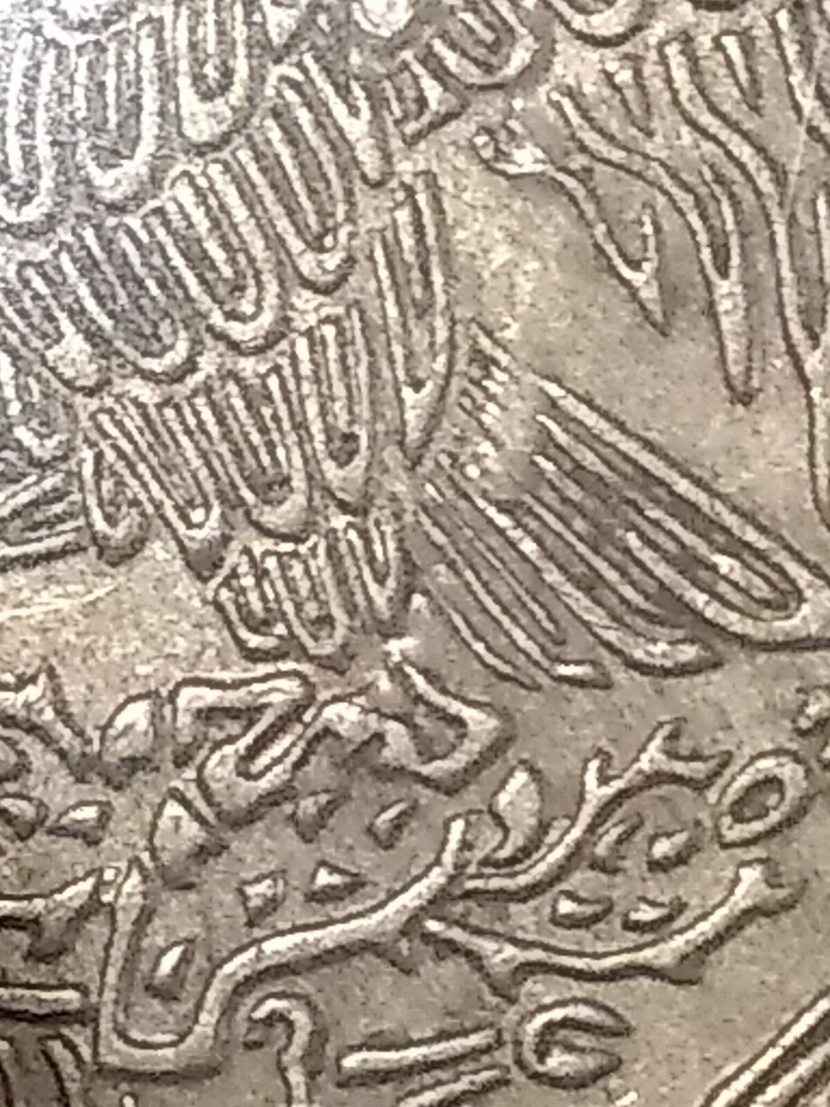 Foto 7 di 7