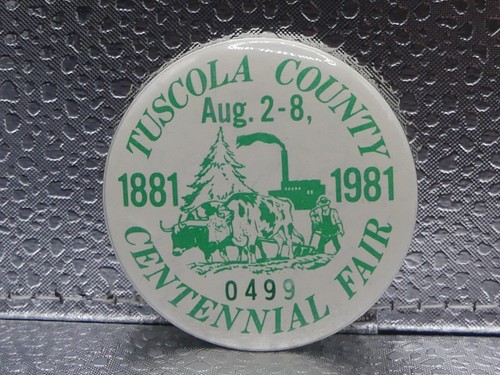 Tuscola County Centennial Fair August 2 - 8, 1881 1981 Caro 0449 Pinback Button - Picture 5 of 7