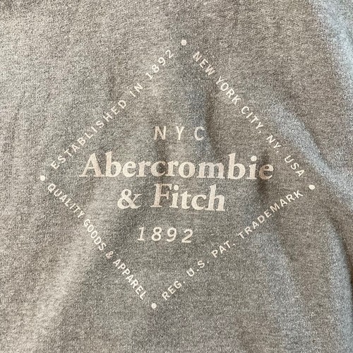 Abercrombie & Fitch Sweatshirt Hoodie Boys Youth Fleece Size 15/16 Logo Gray - Picture 9 of 9