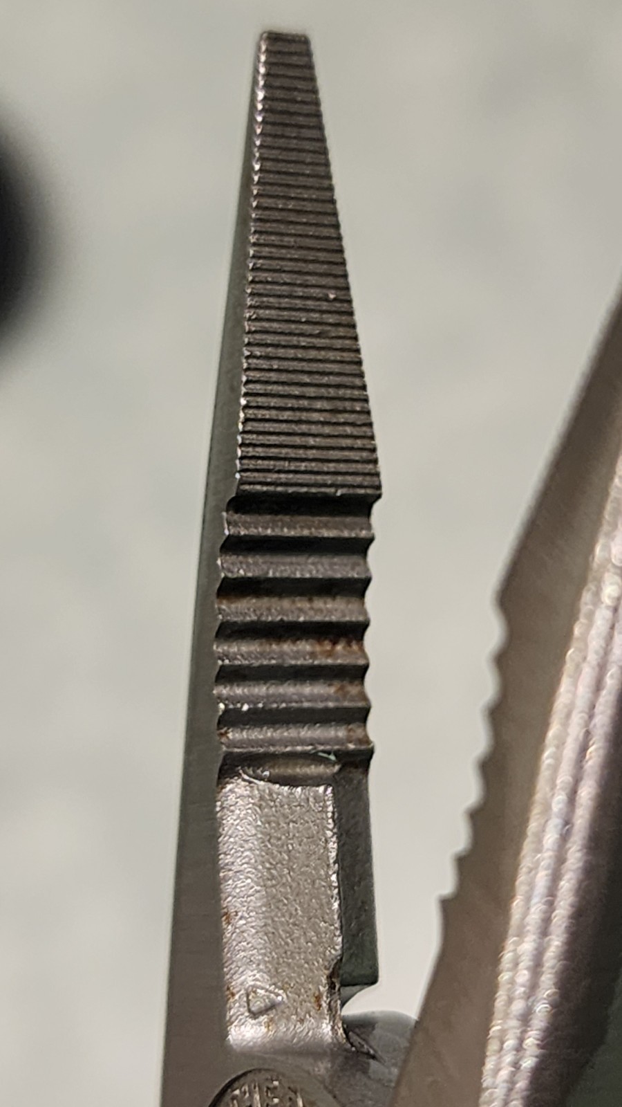 Picture 7 of 13
