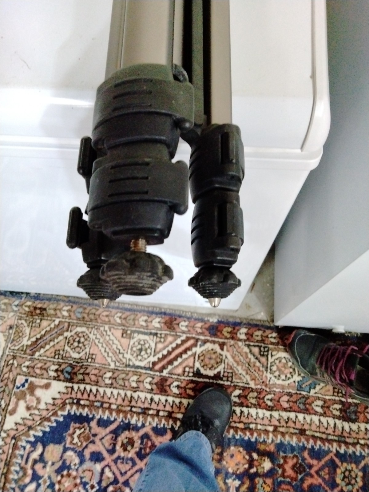 Foto 11 di 13
