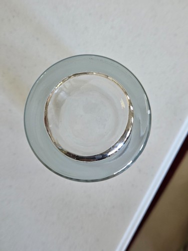Rainforest Café Orlando Collectible Pilsner Beer Glass Florida - 8.5" Height EUC - Picture 3 of 4