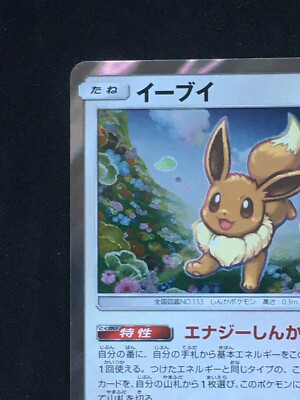 Eevee A 245/SM-P Promo limited Pokemon Card GYM Rare 2018