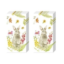 Hop on Spring Easter Bunny Paper Pocket Tissues 21 cm sq 4 ply 2 packs