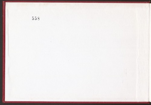 SURINAME 1976 - ONAFHANKELIJKHEIDS VELLEN IN ROOD EERSTE DAG CARNET NR. 585 - Foto 3 di 10