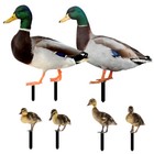 6PCS Acrylic Realistic Outdoor Lawn Stake Shaped Inserted Sign