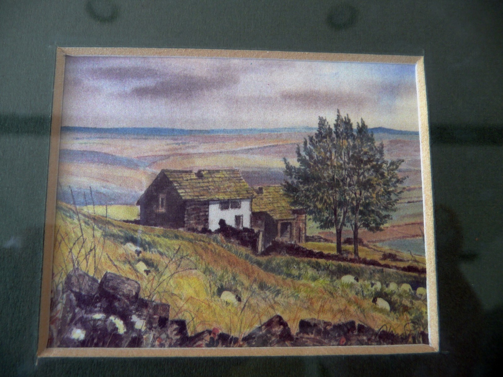 Picture 3 of 11
