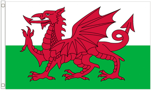 Rugby Six Nations National Polyester 3 x 2 Small Flag - 6 Countries Available - Picture 7 of 13