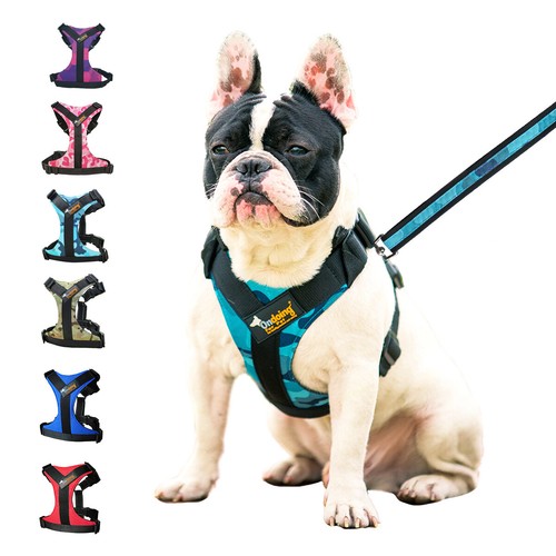 Adjustable Dog Harness Lead Set No-Pull Vest Strong Oxford Cloth Outdoor Leash - Picture 4 of 29