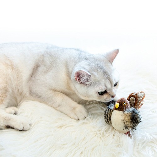 2 Chirping Bird Cat Toy Interactive Cat Toy Bird Chirp Tweet Exercise Toy - Picture 7 of 11