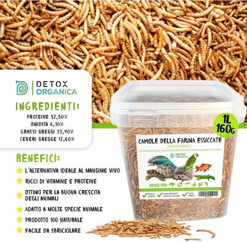Camole della Farina Essiccate 160gr/1000ml, Tarme Della Farina. Mangime x Uccell - Foto 4 di 15