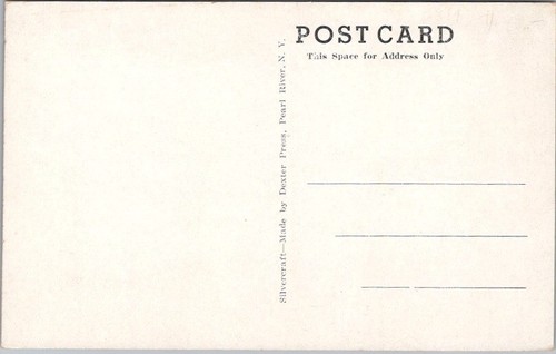 RICHFIELD SPRINGS NY Postcard "THE WILDS DRIVE INN Home of Petrified Creatures" - Picture 2 of 2