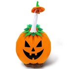 Halloween Pumpkin Costume for Porch Goose Lawn Goose Clothes and Shirt