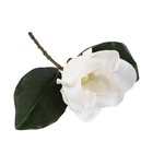 Bild 4 von 12