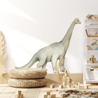 Brachiosaurus Wall Decal Dinosaur Dino Removable Wall Art for Kids Boys Room