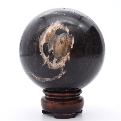 77mm Petrified Fossil Wood Stone Sphere Inc Stand Natural Gemstone Mineral AAA - Picture 3 of 4
