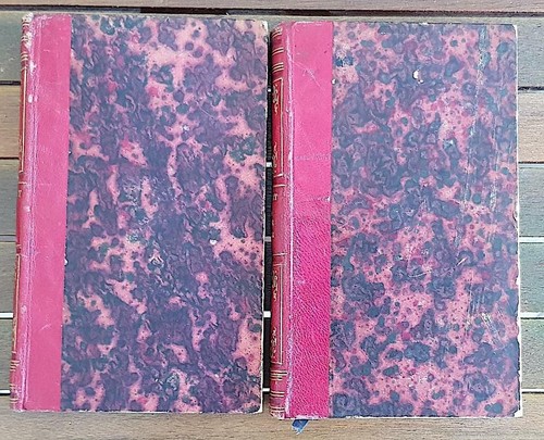HISTOIRE DE LA PETITE VEROLE de J.J. PAULET. Complet 2 volumes édités en 1764. - Imagen 2 de 7